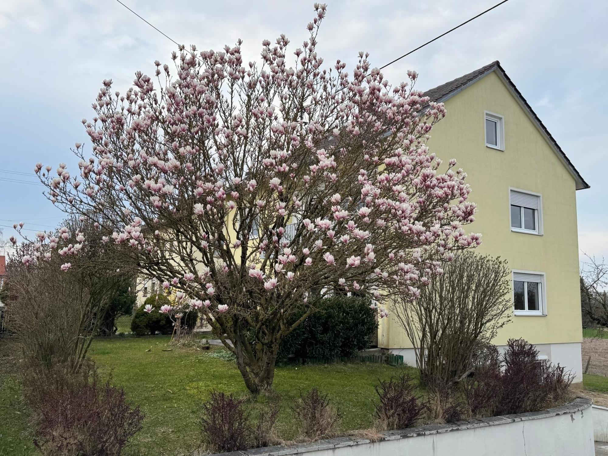 W&P Living Wohnung Mit Ausblick - Parkplatz Biberbach  외부 사진